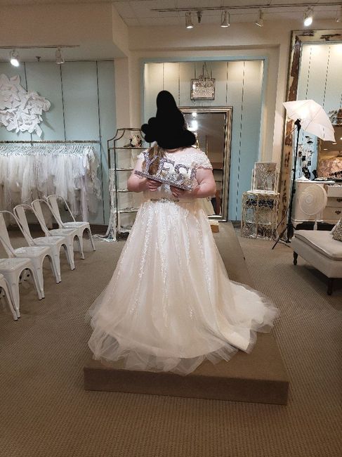 Help me pick a veil 1