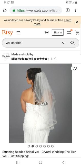 Help me pick a veil 3
