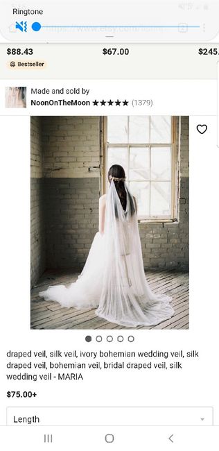 Help me pick a veil 4