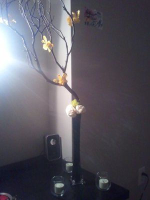 DIY centerpiece trial 1