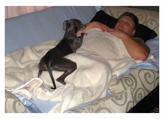 FH (or FW) and your pet...