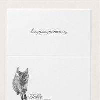 How to include pets (cats)? - 1