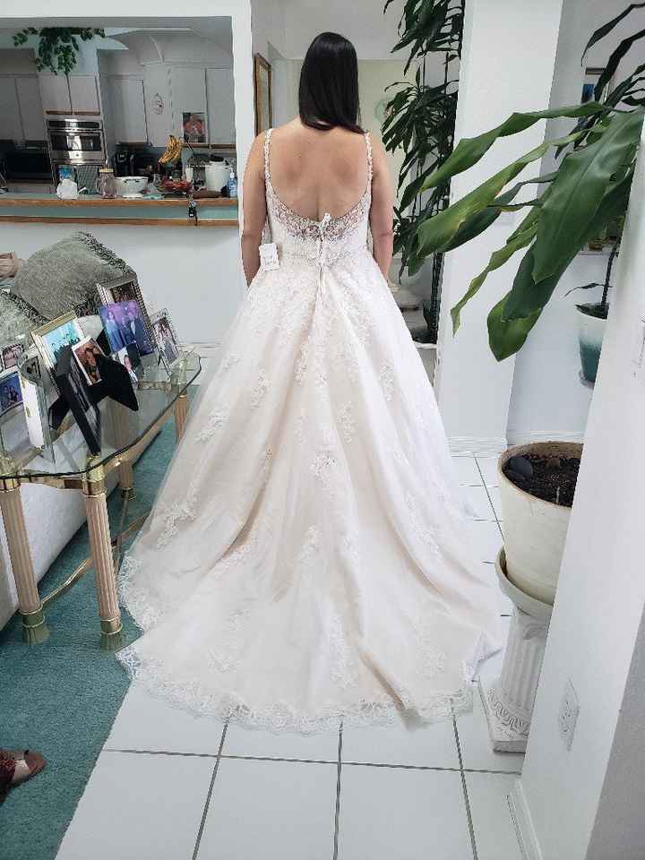 Two dresses..? - 1