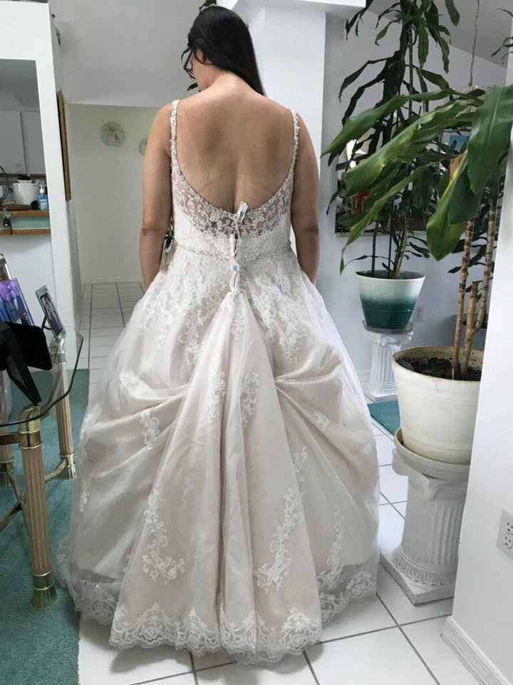 Two dresses..? - 2