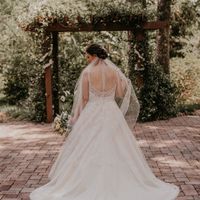 Can i spam you for a minute? - 5