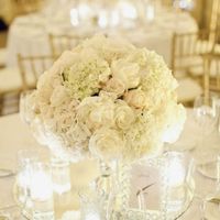 White hydrangeas and roses