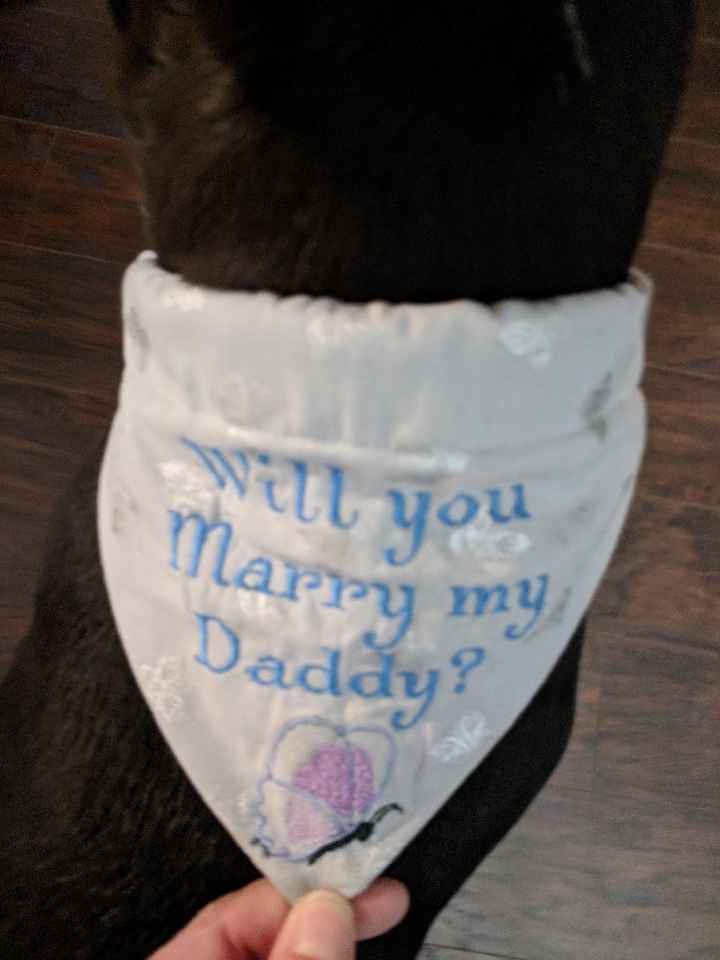 Brides of 2020!  Show us your ring! - 2