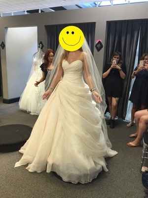 Blush wedding dress with dress pic
