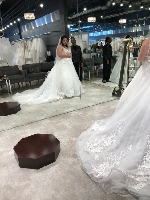 new dress Excitement! 2