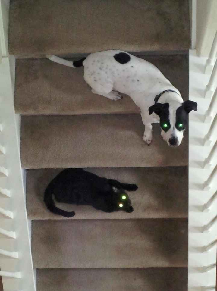 We've seen your rings, your dresses, your jewels.... show me your