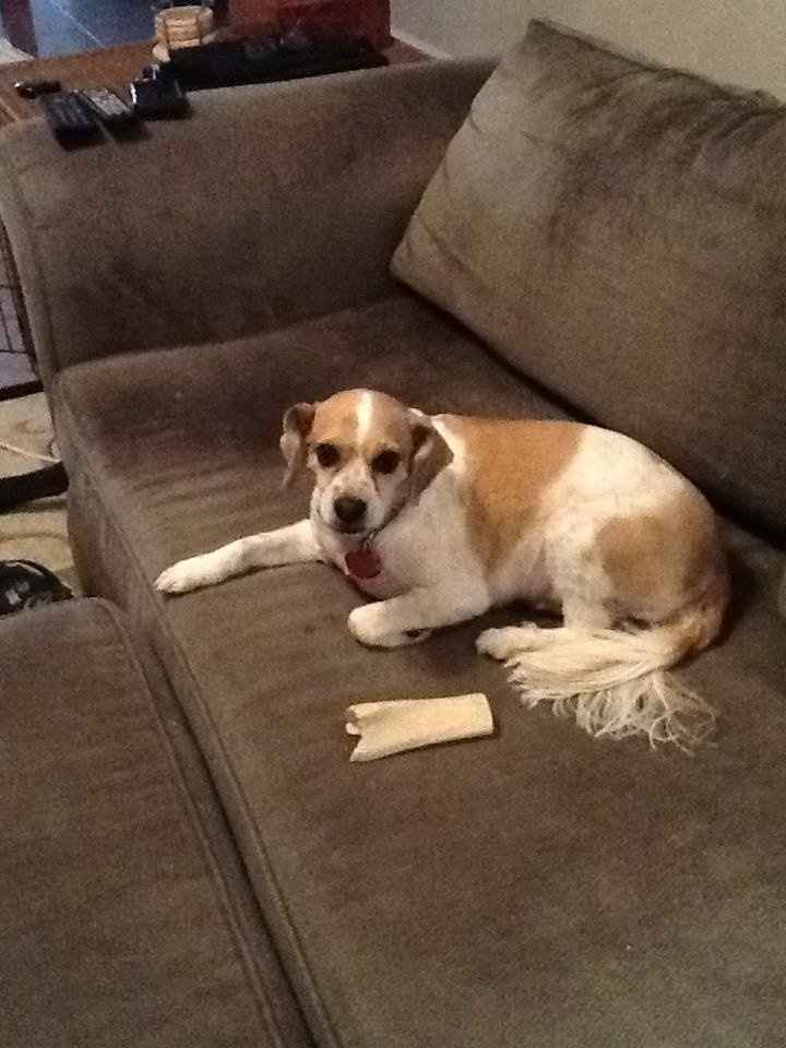 We've seen your rings, your dresses, your jewels.... show me your