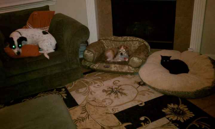 We've seen your rings, your dresses, your jewels.... show me your