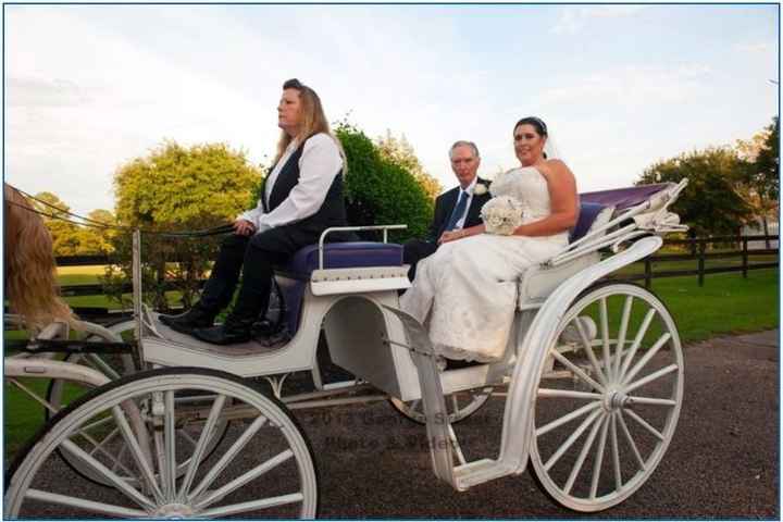 D1's Back &Married with advice and pro pics (pic heavy)