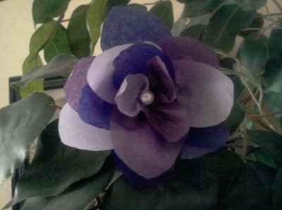 Trial run for my DIY flowers *PIC*