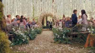 Twilight wedding