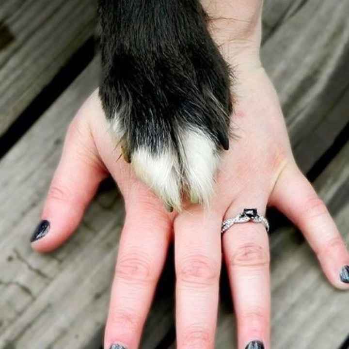 Heart shape engagement ring