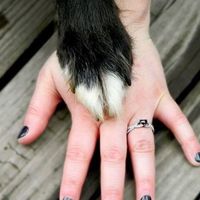 Heart shape engagement ring