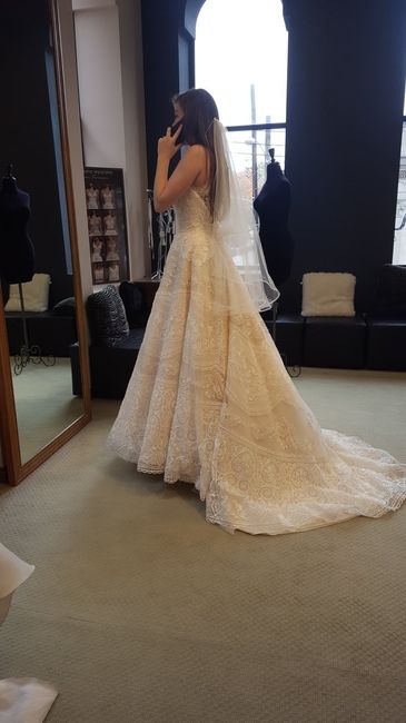 Found the Dress! Show Me Yours! 3