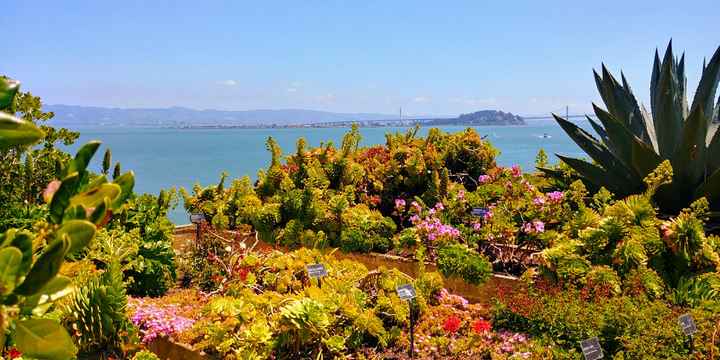 Seeing the whole picture 🤩 - 1