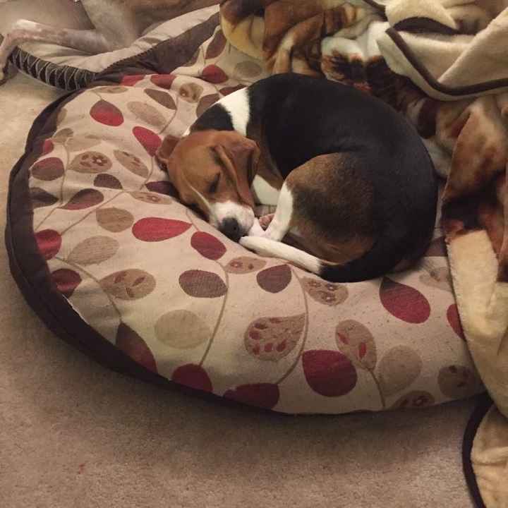 I LOVE my fur baby!