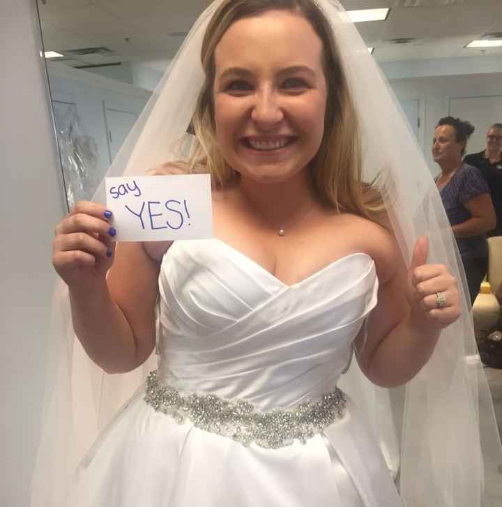 Alfred Angelo Dresses!