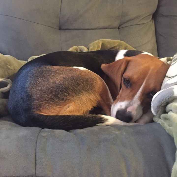 NWR:  Thursday Fursday