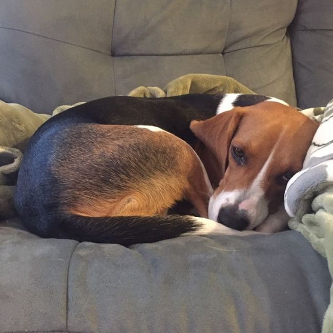NWR:  Thursday Fursday