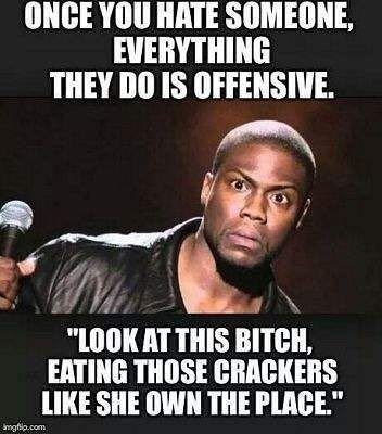 Memes of encouragement... or just freakin' funny