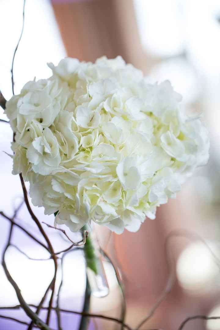 Married, honeymooned and back with advice