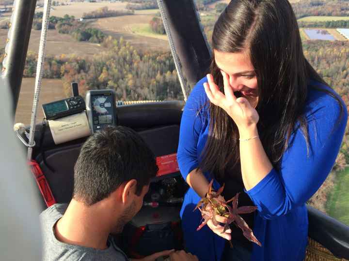 Proposal photos