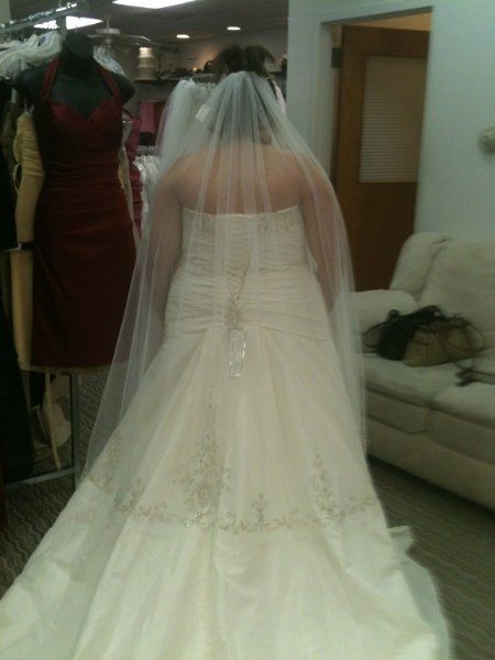 My dress came in!!!!!