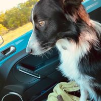 Tell me something good - 1