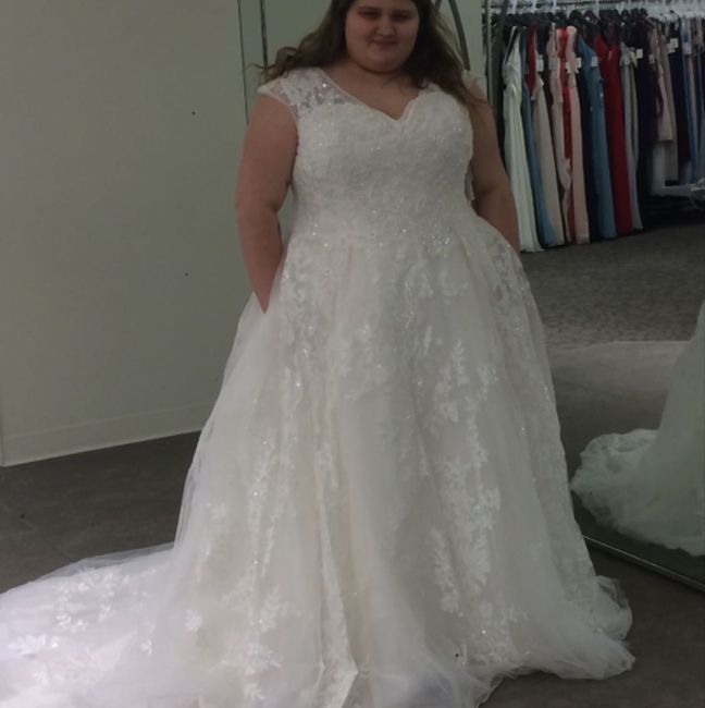 David's Bridal Brides - POST PICS OF YOUR DRESS!!! - 1