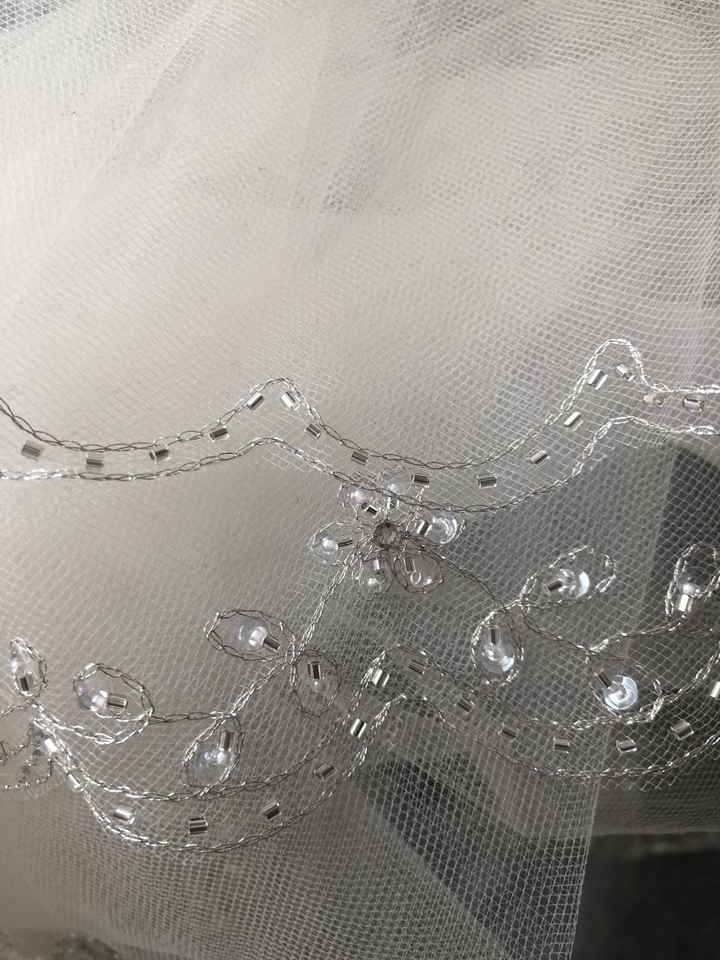 Veil or no veil? - 1