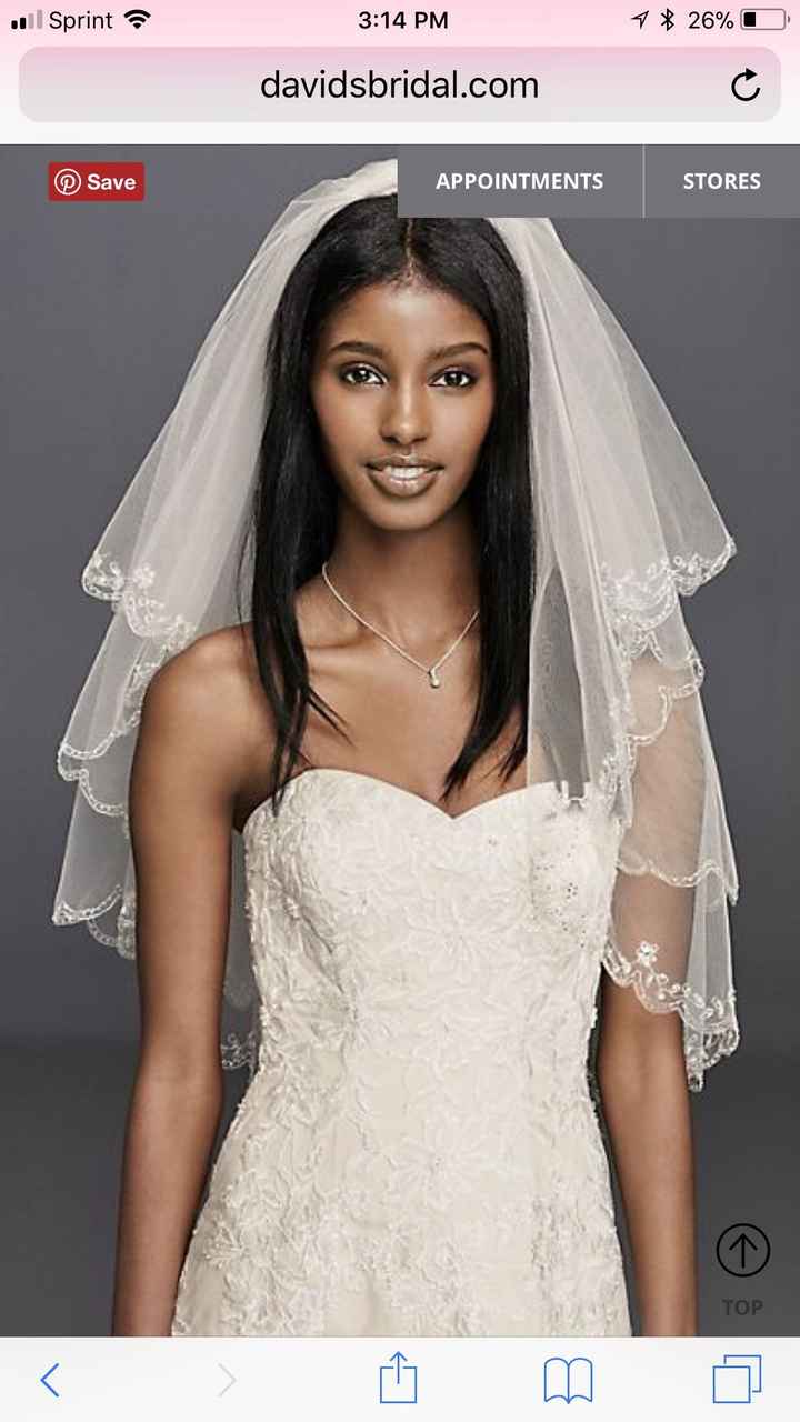 Veil or no veil? - 2