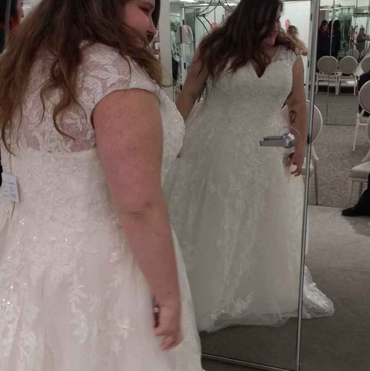 Veil or no veil? - 4