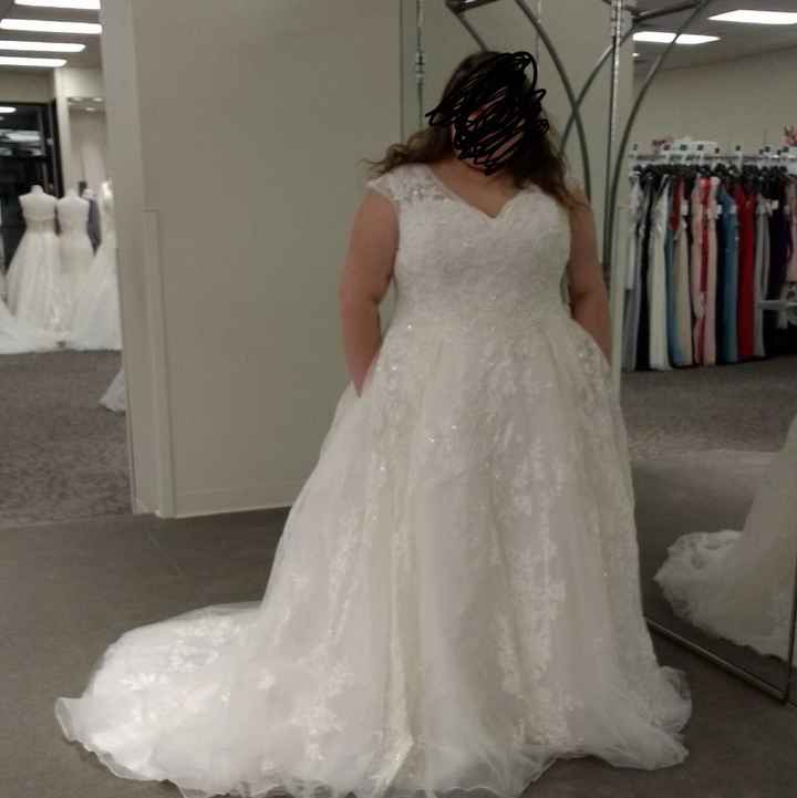 Veil or no veil? - 5