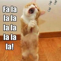 NWR: Holiday Cat Time :)