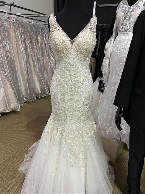 Wedding Dress Dilemma 1