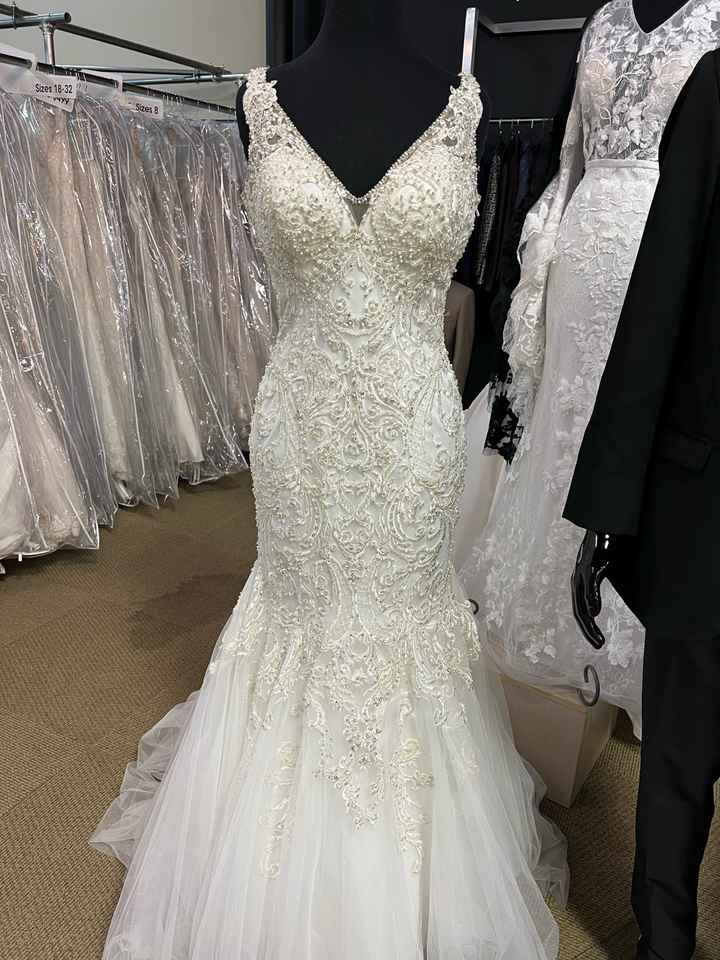 Wedding Dress Dilemma - 1