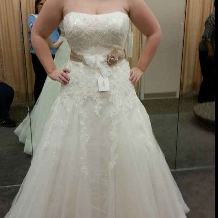 Show me your bustles