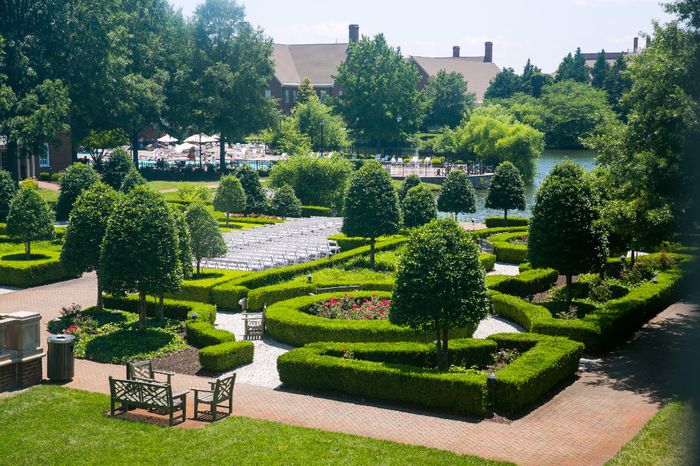 Share your wedding vision!!✨ 8