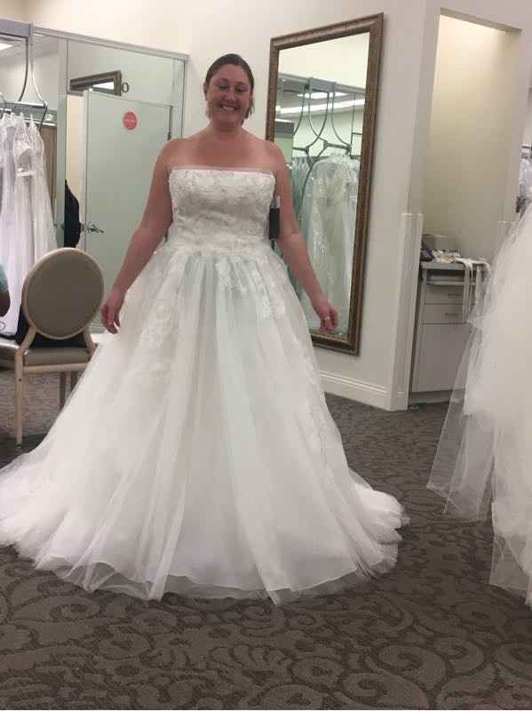 How many dresses did you try on?