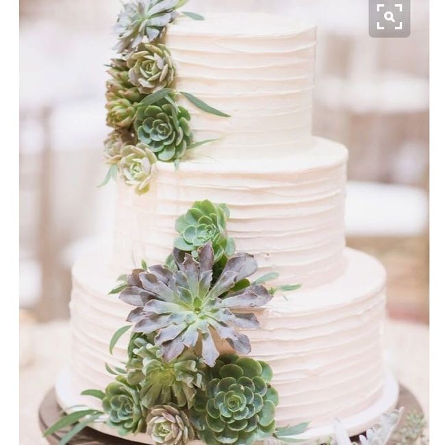 Let me see your cakes