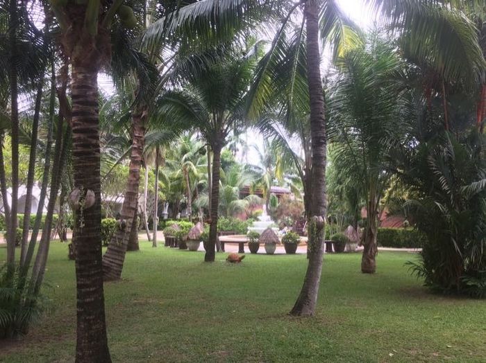 Thailand honeymoon!!