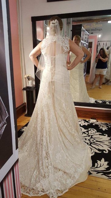 I said YES TO THE DRESS!
