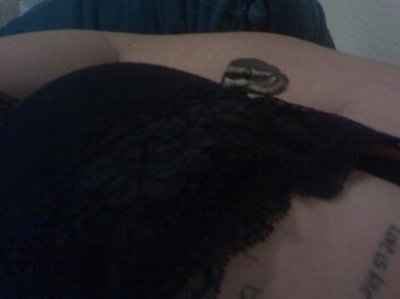 Lets see those pets!!! (NWR)