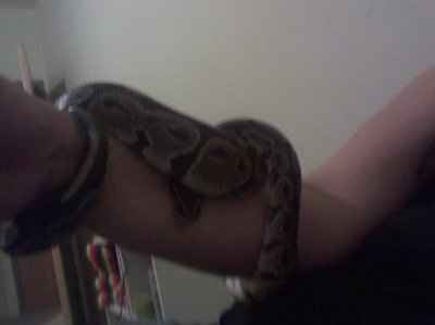 Lets see those pets!!! (NWR)