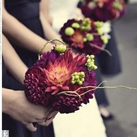 Want to see flowers!!!