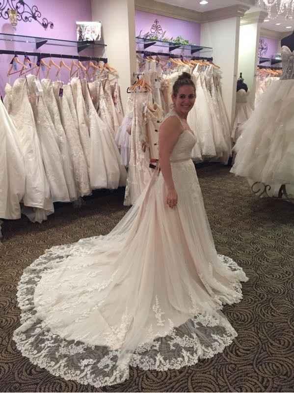 New Year, New Member (Introduction Post)